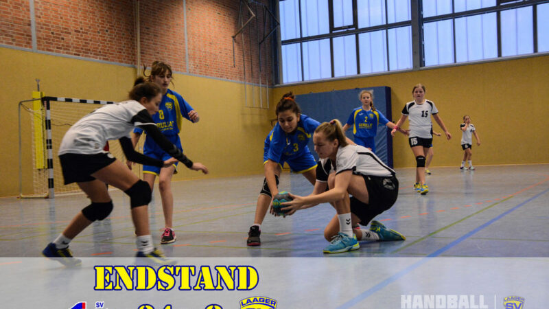 Laage - Sport - News Handball WJD - Zu Gast Bei Den Tabellenführerinnen