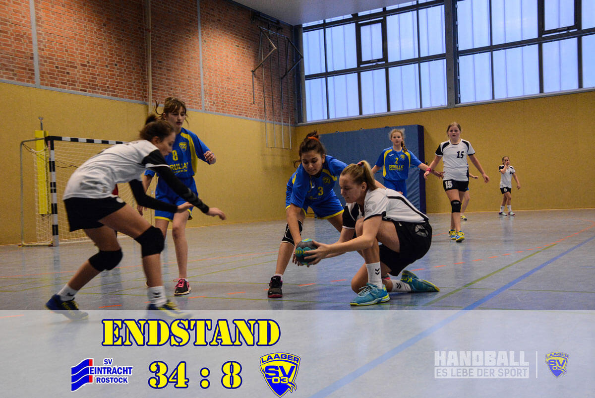 Laage - Sport - News Handball wJD - Zu Gast bei den Tabellenführerinnen