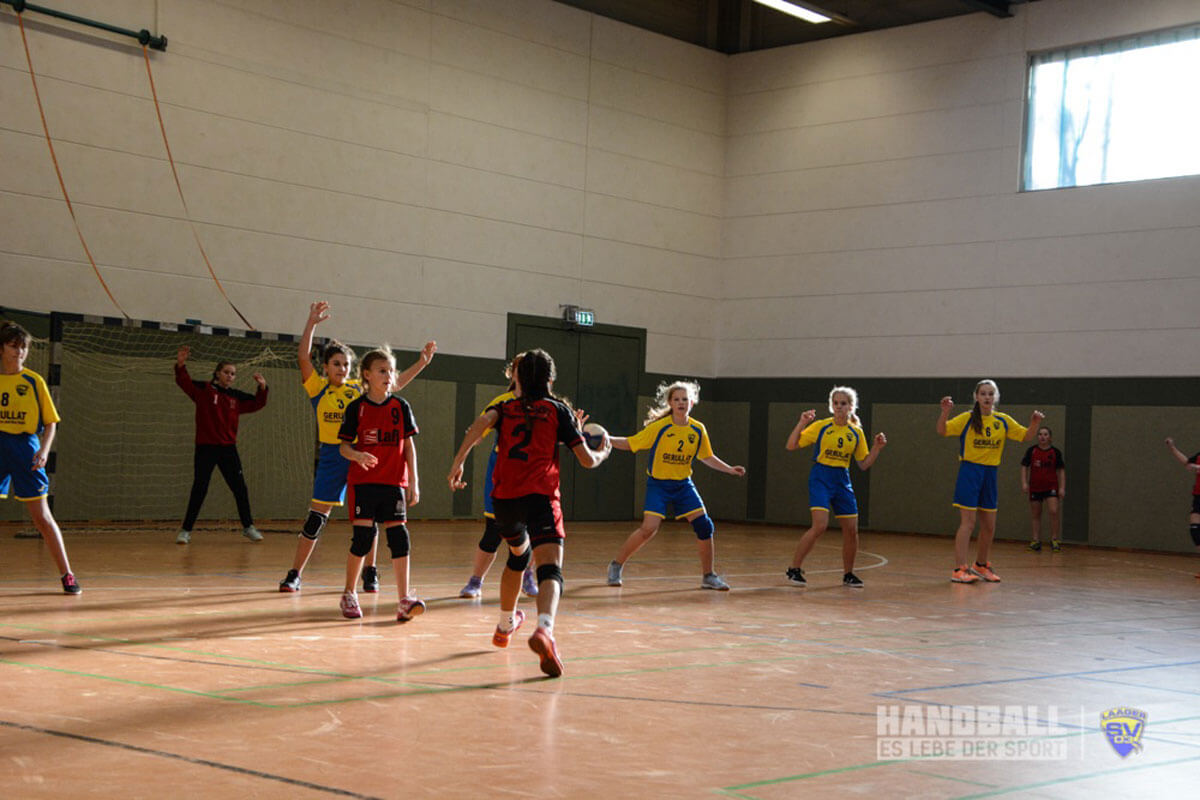 Handball wJD Laager SV 03 e.V. 2018
