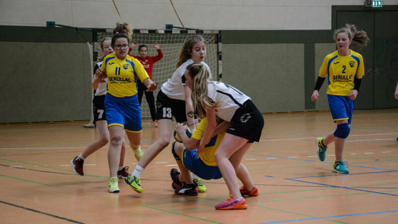 Damen Handball Laage SV