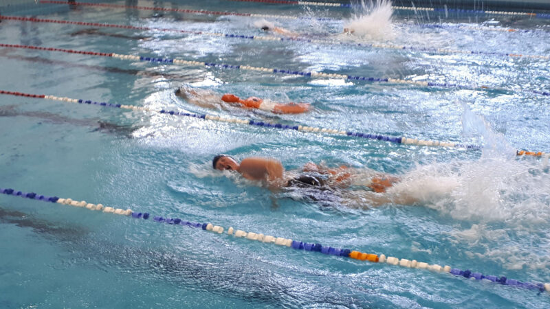 Schwimmen Laage Verein